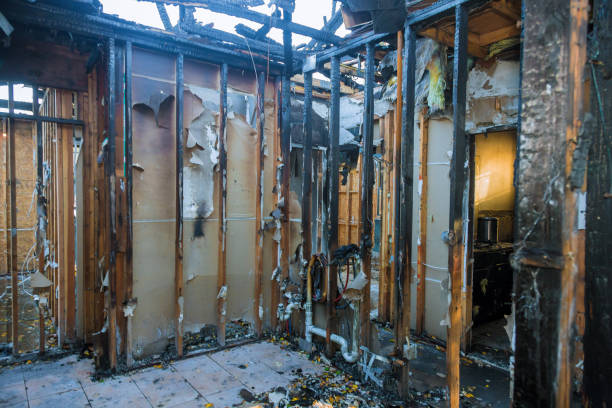 Professional Fire Damage Removal technician working in Johnsonville, SC